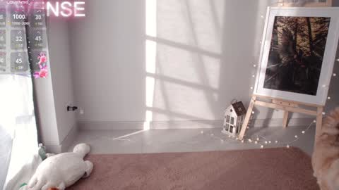 Snapshot of careful_i_bite chatting on 12-31-24, 08:37 NONA follow online show from 12-31-24, 08:37
