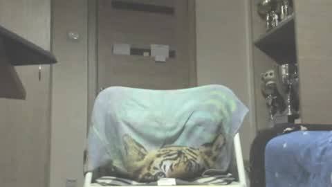 Snapshot of carin_the_body chatting on 07-11-26, 11:50 Laz online show from 07-11-26, 11:50