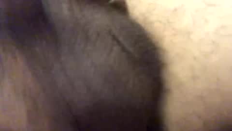 carlitos34m906127 online show from 02-17-26, 10:56