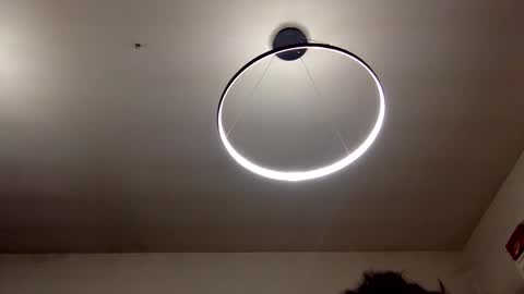 Carlos online show from 02-08-25, 09:04