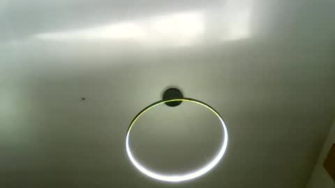 Carlos online show from 03-16-26, 08:29