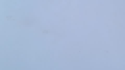 caro online show from 02-16-26, 03:24