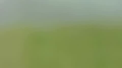 Caro online show from 09-24-25, 01:53