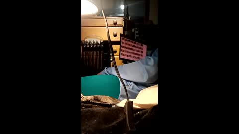 caryb online show from 02-24-26, 08:56