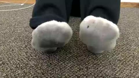 cash13bychanel online show from 11-14-25, 07:34