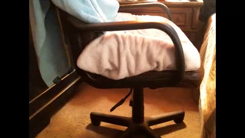 Cashew online show from 12-25-24, 08:28