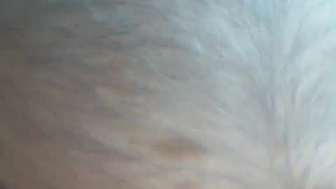 Snapshot of castells chatting on 09-22-25, 04:09 castells online show from 09-22-25, 04:09