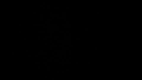 cata_n_cami online show from 12-21-24, 10:08