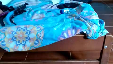 cataleya online show from 01-06-26, 09:18