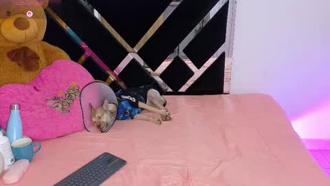 Catalina  online show from 03-10-26, 10:15