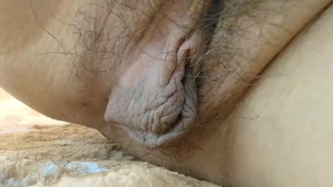 Snapshot of cbz112233 chatting on 09-08-25, 03:33 ANNYANNY online show from 09-08-25, 03:33