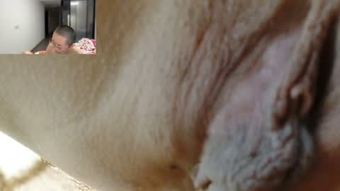 Snapshot of cbz112233 chatting on 06-25-26, 02:54 ANNYANNY online show from 06-25-26, 02:54