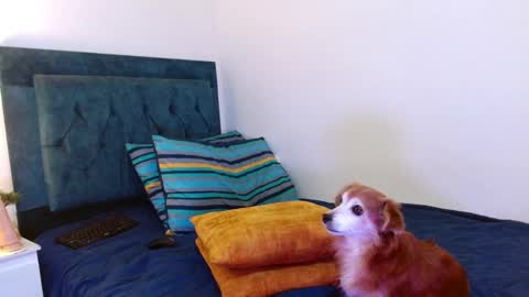 Cedrixx10 online show from 10-25-25, 01:02