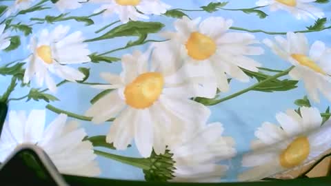 cerminah online show from 11-19-25, 01:11