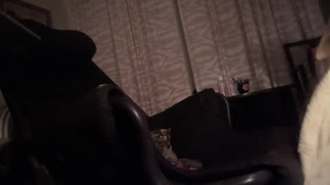 cfnmfriendly online show from 10-23-25, 04:06