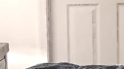 cfnmkinky28 online show from 12-24-24, 03:05