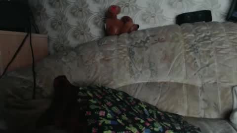 Snapshot of chacoa chatting on 01-18-26, 12:09 chacoa online show from 01-18-26, 12:09