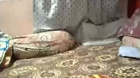 Stormydick online show from 01-12-26, 03:17