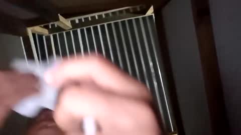 chancherman online show from 12-02-25, 06:41