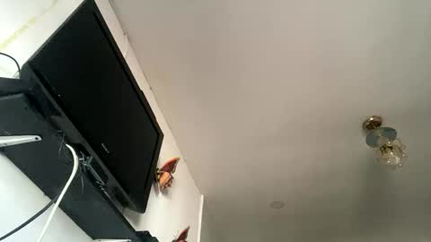 Snapshot of chanelfancy chatting on 04-26-26, 01:09 chanelfancy online show from 04-26-26, 01:09