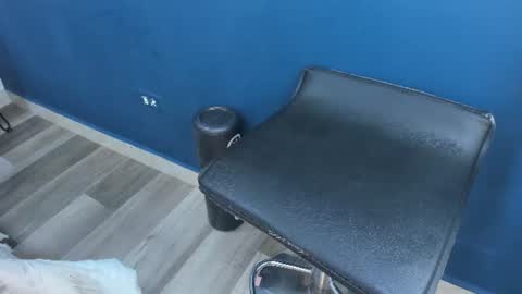 Charlie Musk online show from 06-15-26, 11:34