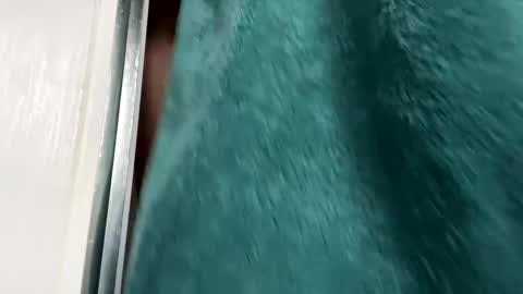 Gary online show from 11-29-25, 08:50