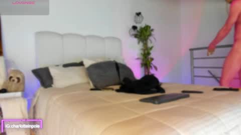 charlotteinpool online show from 05-04-26, 06:42