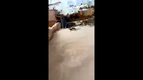 chasejase20333 online show from 12-16-24, 07:37