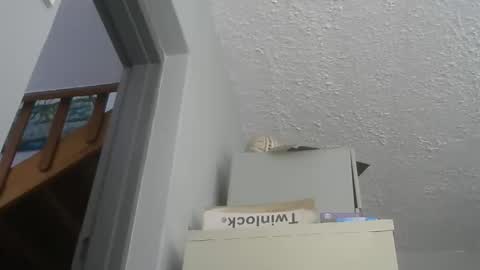 Snapshot of chaturbatordeluxe chatting on 12-21-25, 05:47 chaturbatordeluxe online show from 12-21-25, 05:47