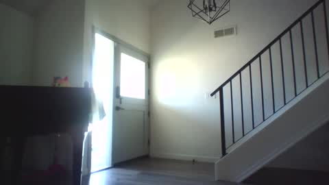 Rockhard Cockstar N Roxynyes online show from 09-12-25, 09:15