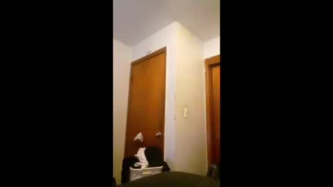 Snapshot of cheeze111 chatting on 06-07-26, 04:16 cheeze111 online show from 06-07-26, 04:16