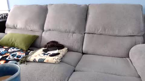 Chelsea online show from 02-02-26, 04:49