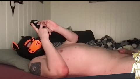 ChestBellyFetish online show from 03-28-26, 05:34