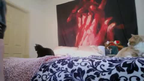 ChinaCove online show from 02-16-26, 12:40