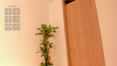    Schedule 7am to 2pm Col online show from 02-06-26, 12:19