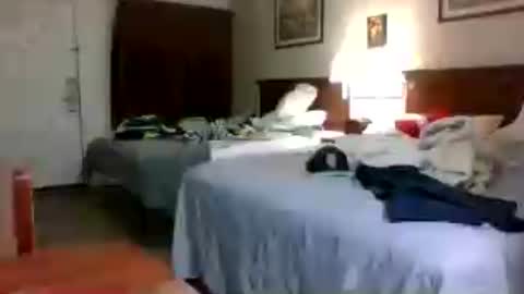 choclate_choctaw online show from 07-23-26, 01:58