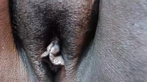 chocolatabig online show from 11-09-25, 06:28