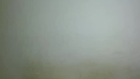 Snapshot of chocolatebony_ chatting on 01-22-25, 10:05 chocolatebony_ online show from 01-22-25, 10:05