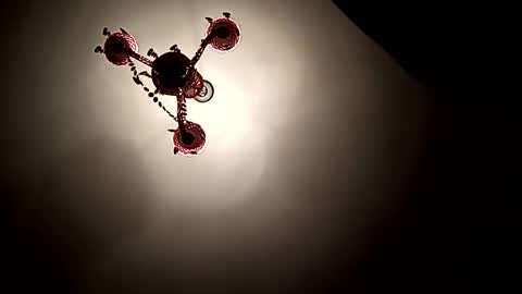 Vicki and Chris online show from 11-01-25, 06:21