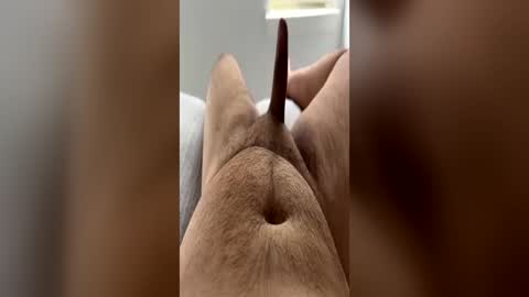 Snapshot of chubbydick9069 chatting on 06-15-26, 04:20 chubbydick9069 online show from 06-15-26, 04:20