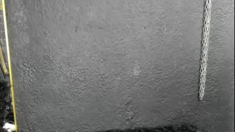 cintyarose online show from 02-26-26, 01:21