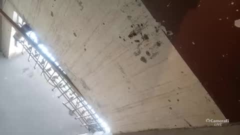 Circumsised Bull online show from 01-13-26, 11:26