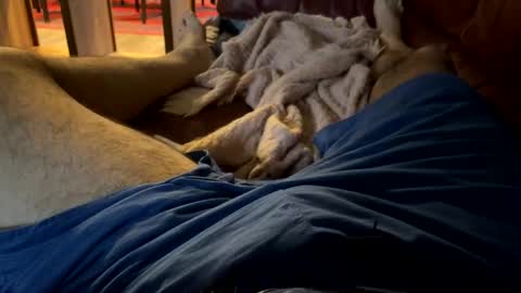 Cjd32 online show from 12-13-24, 09:52