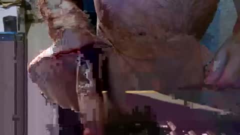 cleanboy1001 online show from 02-26-26, 04:39