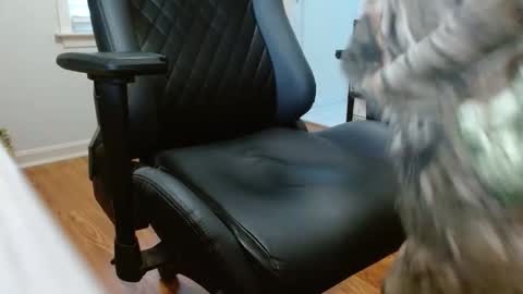 cobra19765 online show from 01-17-26, 10:02