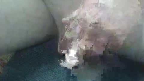 Snapshot of cocktoys chatting on 02-02-26, 05:50 cocktoys online show from 02-02-26, 05:50