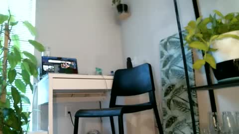 Noni online show from 02-28-25, 05:37