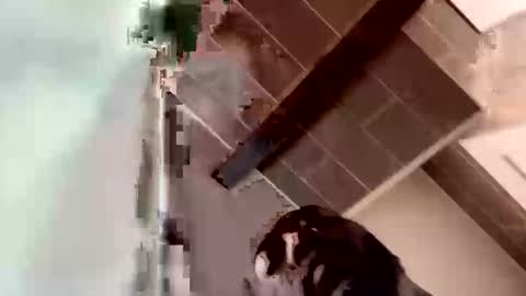 concernsburn online show from 01-07-26, 04:48