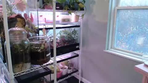 ANR Mommy online show from 11-09-25, 05:22