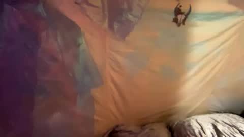 coochiechakrahealer online show from 12-30-24, 09:48